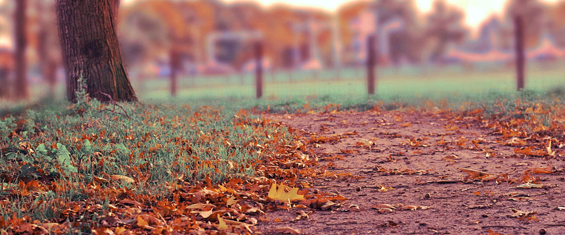 隐私安全无忧的电话短信轰在线轰炸免费