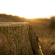 账号销售渠道正版的电话短信轰在线轰炸免费