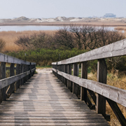 电话测压在线平台