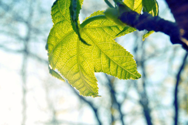 短信轰炸网页版